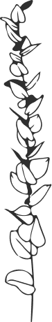 Vector